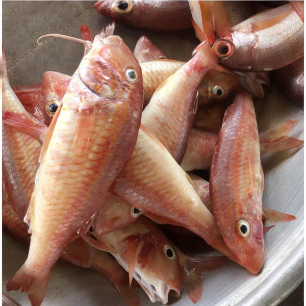 Red Bullet (1kg)