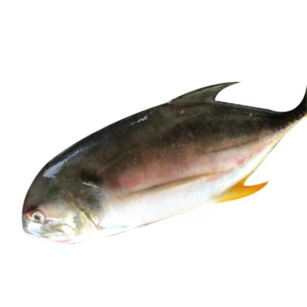 Opaa (1kg)