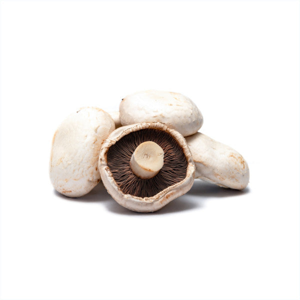 Mushroom (Pack)