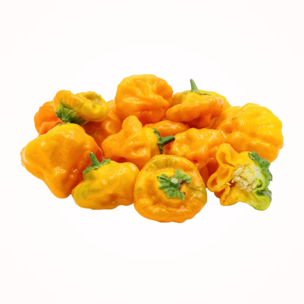 Yellow Pepper