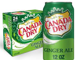 Canada Dry Ginger Ale 340g (24Pcs)