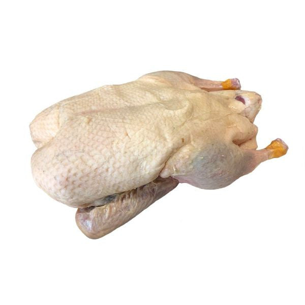 Fresh Duck Meat