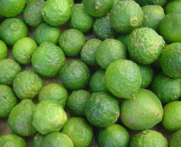 Lime (Onlonka)