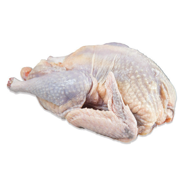 Fresh Guinea Fowl Meat