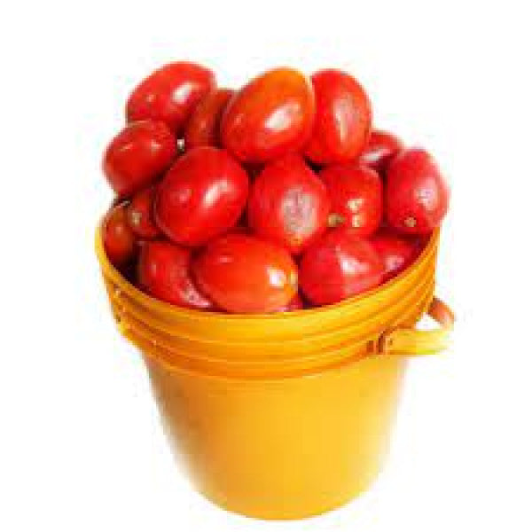 Tomatoes (half paint bucket)