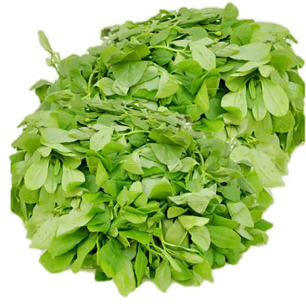 Water Leaf ( Kpokokpoko )