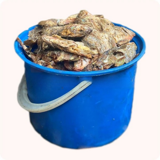 Fried Tilapia (Paint Bucket)