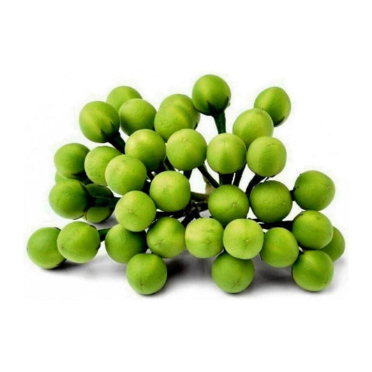 Turkey Berry (A Pack)