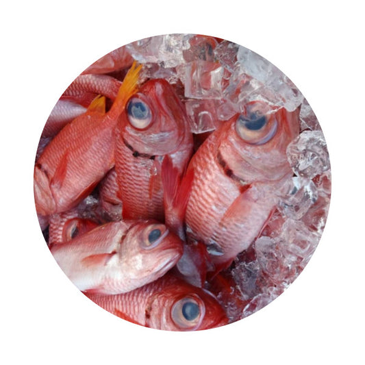 Frozen Red Fish (1kg)