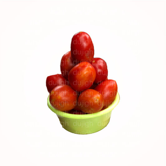 Fresh Tomato (Navrongo) - paint bucket