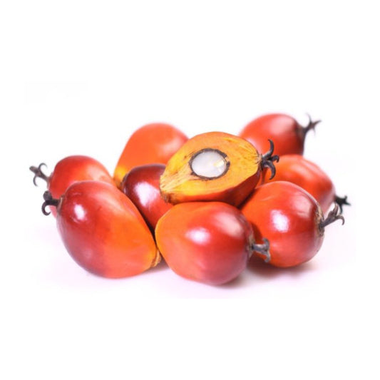 Palm Nut ( Olonka)