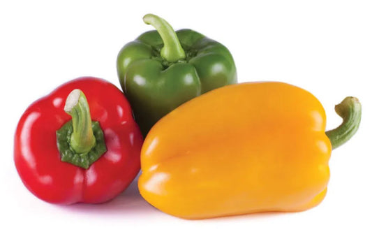 Bell Pepper mixed (Red, Yellow & Green)