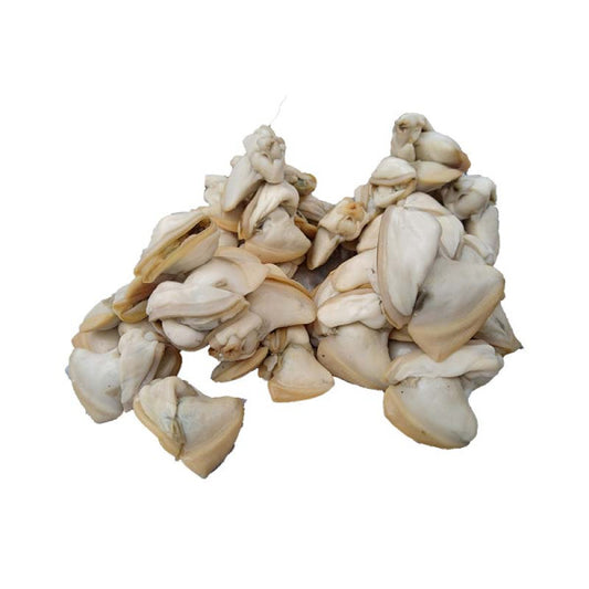 Clams