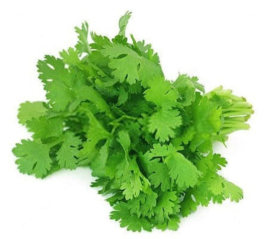 Corriander Leaves