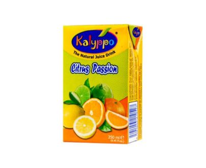 Kalyppo: Fruit Juice 250ml (Pack of 24)