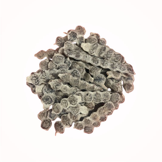 Bagaruwa Seed (cup)