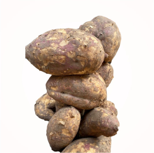 Sweet Potato