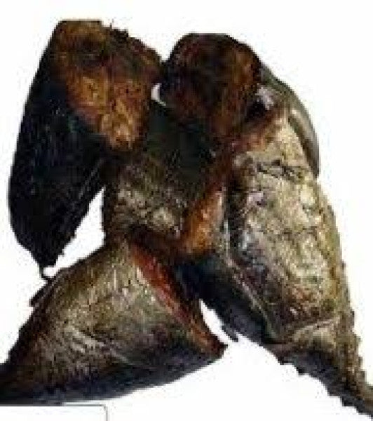 Smoked Odai Fish