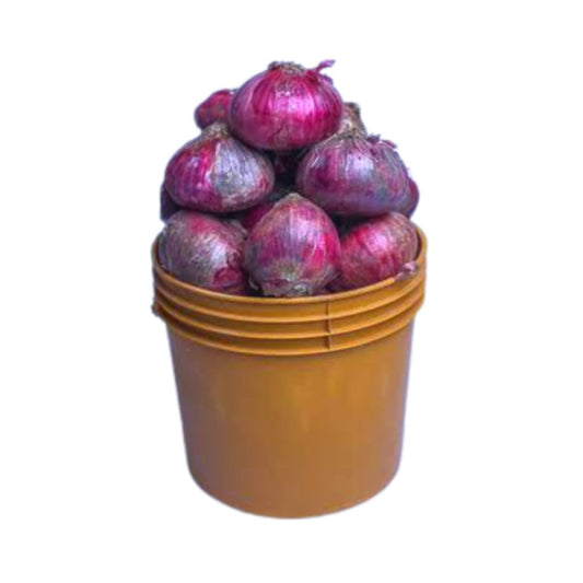 Onions (Paint Bucket)