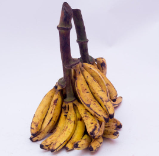 Riped Plantain Bunch