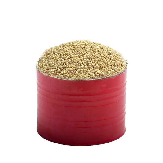 Sorghum seeds (Olonka)