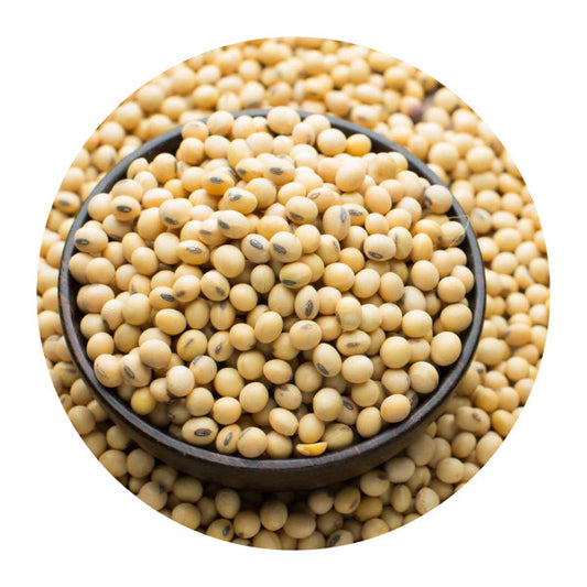 Soya Beans (1 Cup)