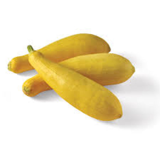 Yellow Squash