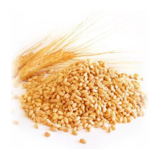 Local Wheat (Cup)