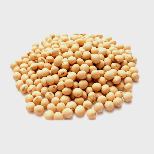 Bambara Beans (Olonka)