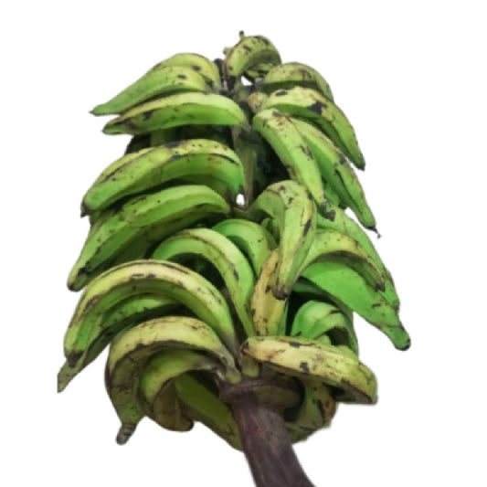 Plantain (Bunch)