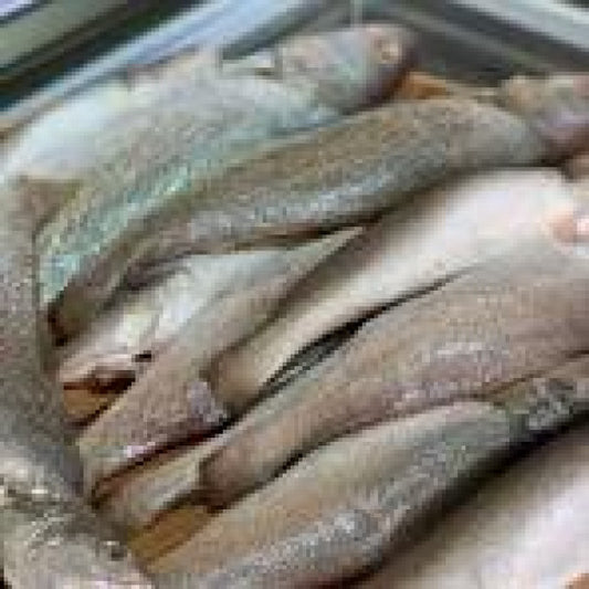 Cassava Fish 20kg