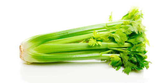 Celery stalk