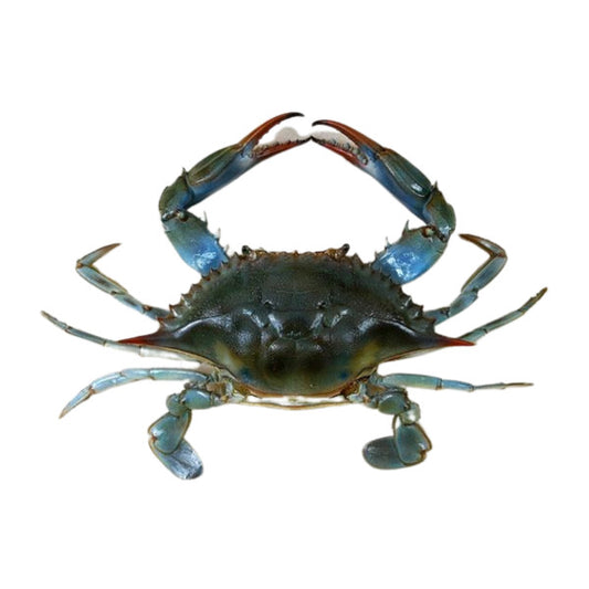 Crab Small size (5 pcs)
