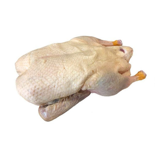 Fresh Duck Meat