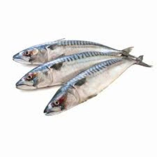 Fresh mackerel / Foreign (1kg)