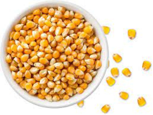 Popcorn Maize (cup)