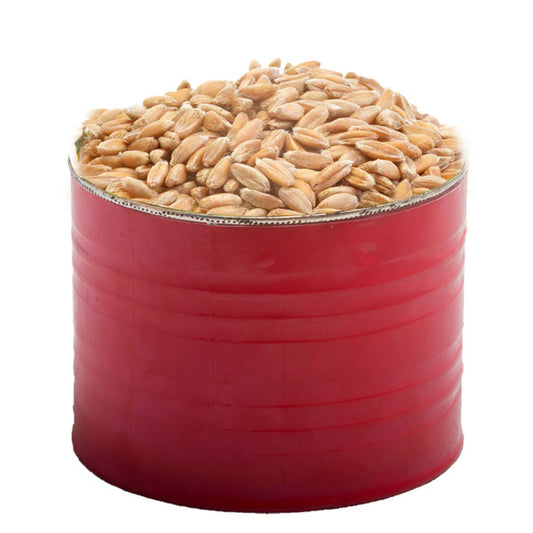 Local Wheat (Olonka)